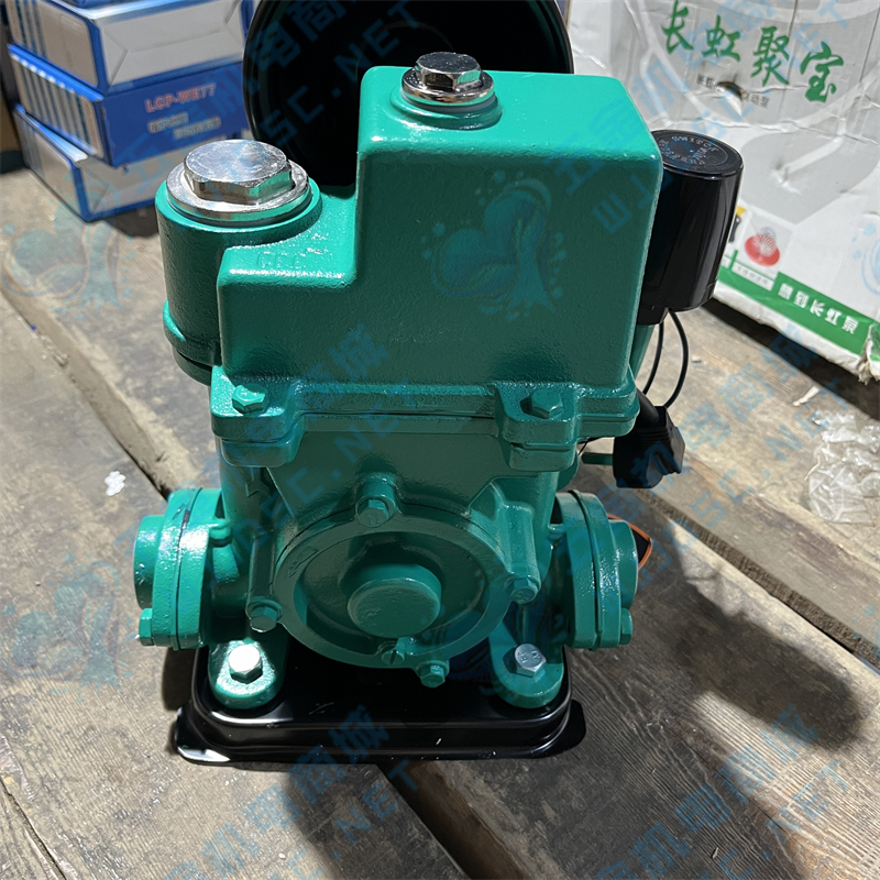 1727778272970129.jpg 韩普750W下出口自动泵1.jpg